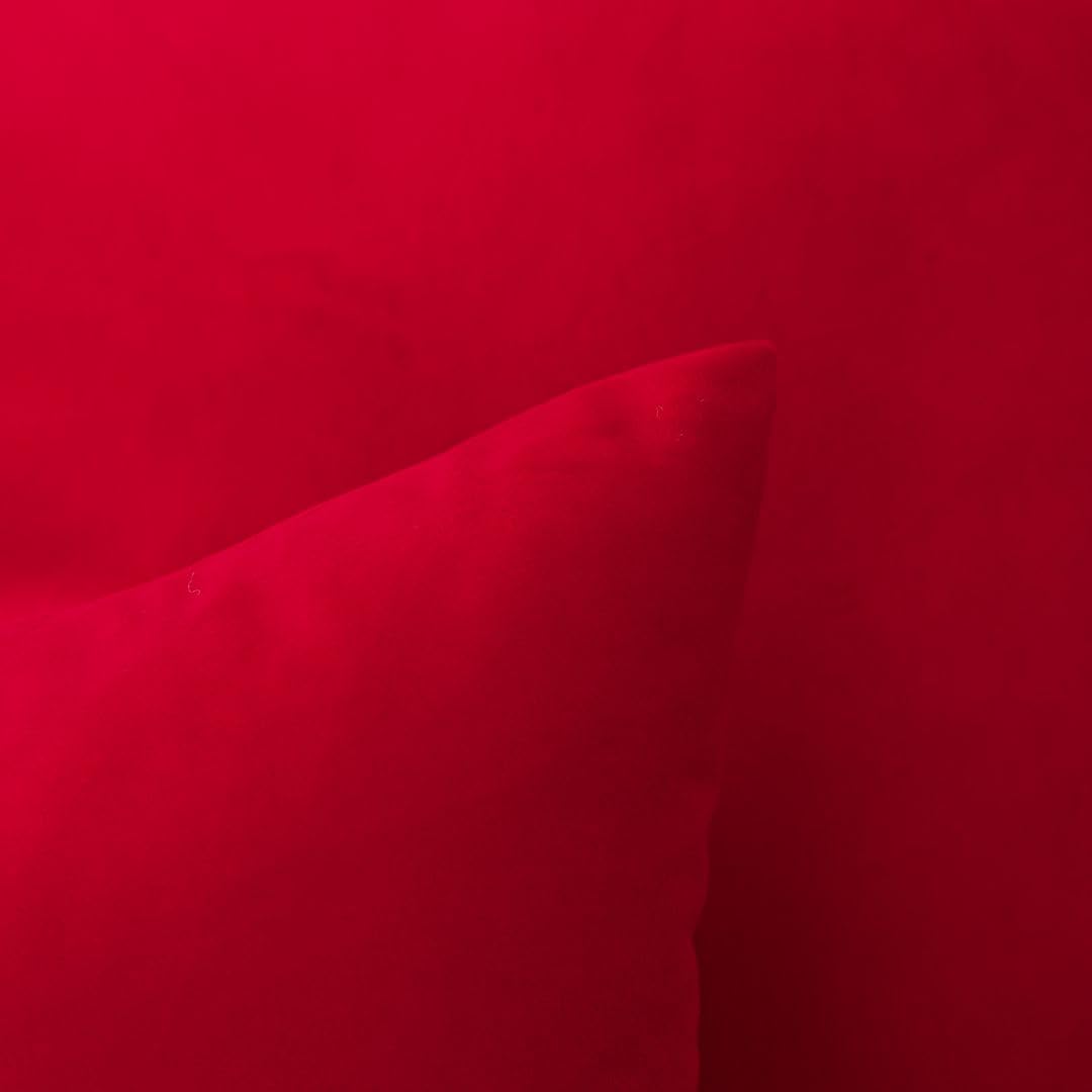 MoonRest - Pack of 2, Velvet Decorative Pillow Cover Set, Cozy Soft with Hidden Zipper Solid Color for Sofa Bedroom Car Couch Throw Pillow