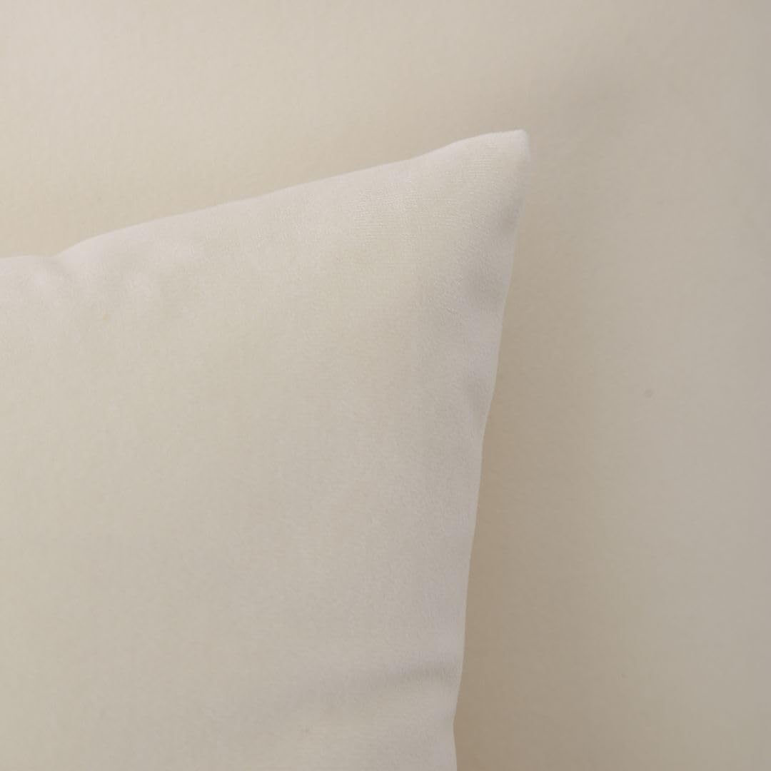 MoonRest - Pack of 2, Velvet Decorative Pillow Cover Set, Cozy Soft with Hidden Zipper Solid Color for Sofa Bedroom Car Couch Throw Pillow