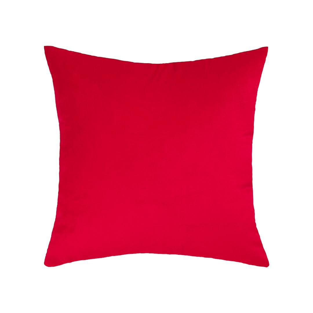 MoonRest - Pack of 2, Velvet Decorative Pillow Cover Set, Cozy Soft with Hidden Zipper Solid Color for Sofa Bedroom Car Couch Throw Pillow