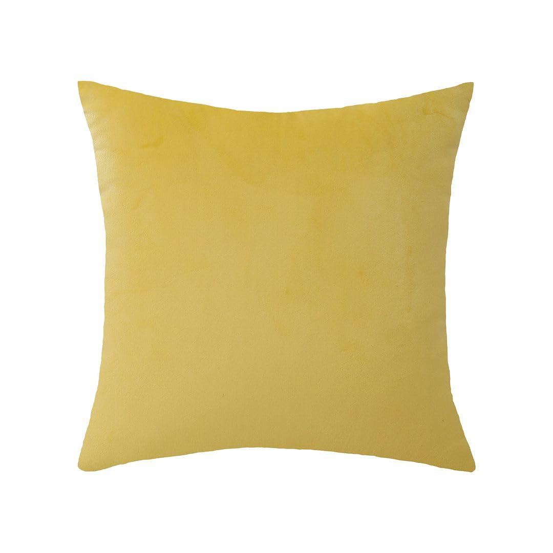 MoonRest - Pack of 2, Velvet Decorative Pillow Cover Set, Cozy Soft with Hidden Zipper Solid Color for Sofa Bedroom Car Couch Throw Pillow