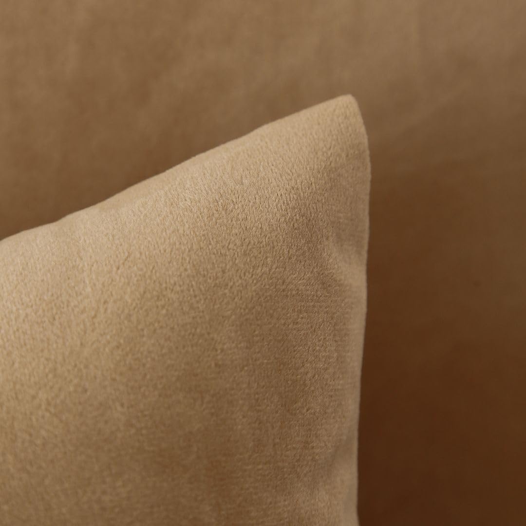 MoonRest - Pack of 2, Velvet Decorative Pillow Cover Set, Cozy Soft with Hidden Zipper Solid Color for Sofa Bedroom Car Couch Throw Pillow