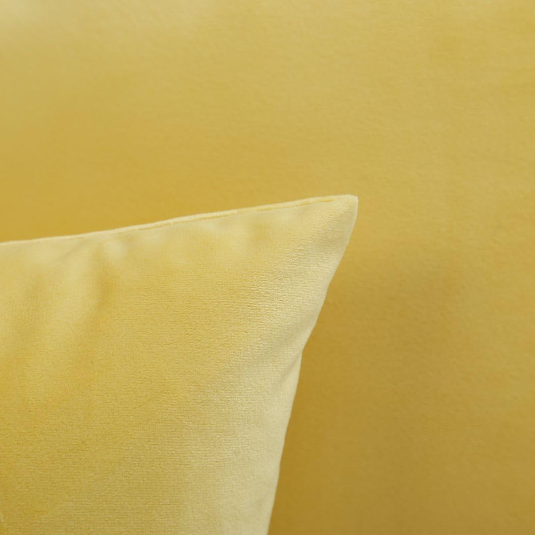 MoonRest - Pack of 2, Velvet Decorative Pillow Cover Set, Cozy Soft with Hidden Zipper Solid Color for Sofa Bedroom Car Couch Throw Pillow