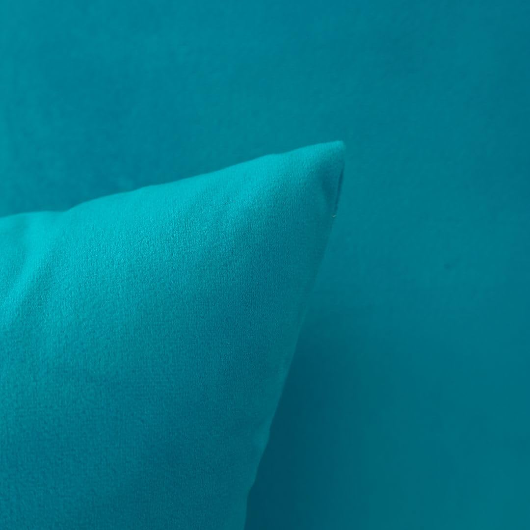 MoonRest - Pack of 2, Velvet Decorative Pillow Cover Set, Cozy Soft with Hidden Zipper Solid Color for Sofa Bedroom Car Couch Throw Pillow