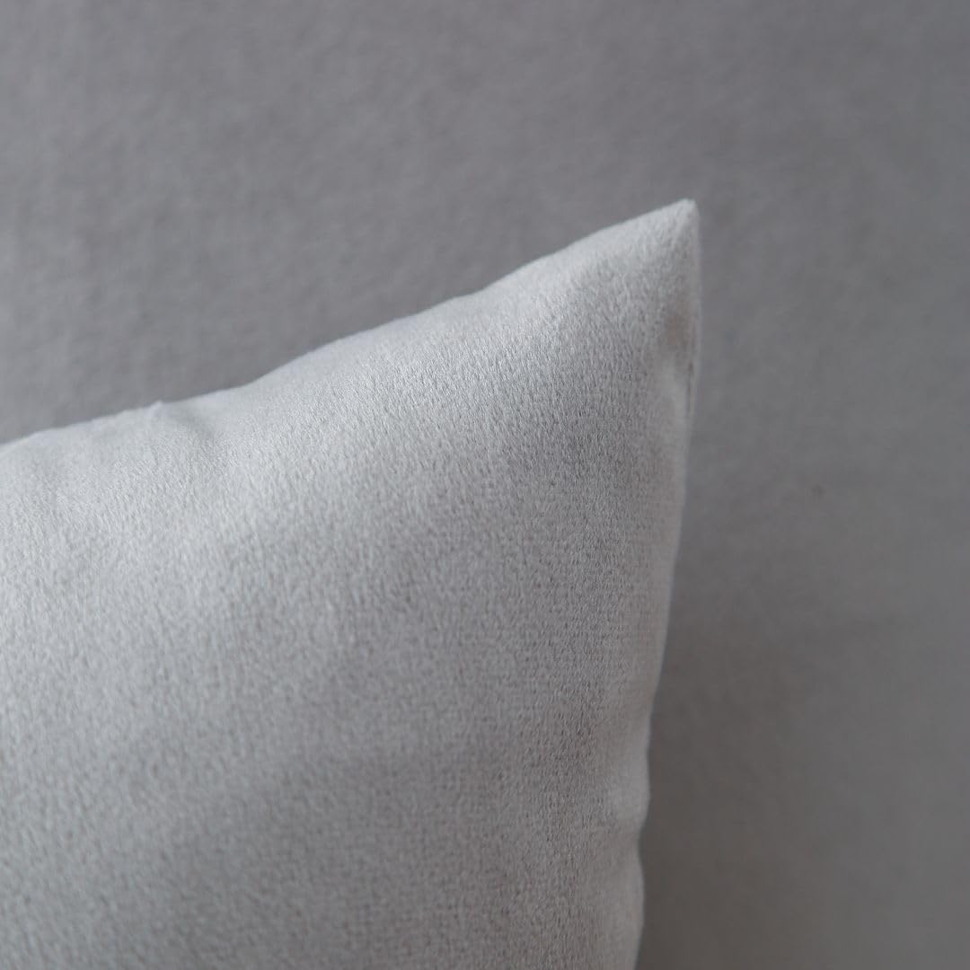 MoonRest - Pack of 2, Velvet Decorative Pillow Cover Set, Cozy Soft with Hidden Zipper Solid Color for Sofa Bedroom Car Couch Throw Pillow