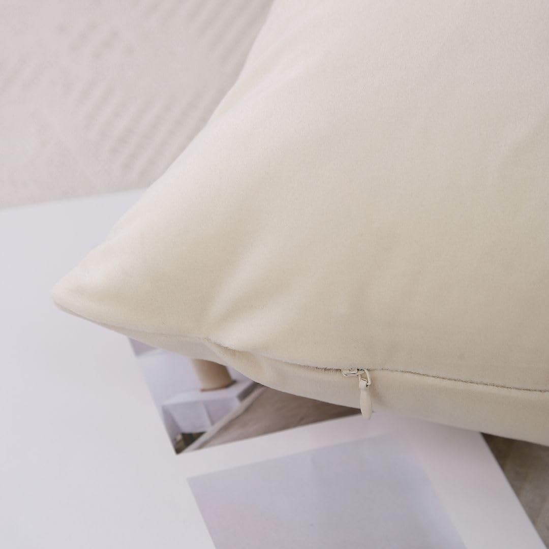 MoonRest - Pack of 2, Velvet Decorative Pillow Cover Set, Cozy Soft with Hidden Zipper Solid Color for Sofa Bedroom Car Couch Throw Pillow