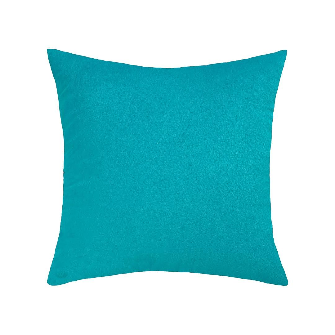 MoonRest - Pack of 2, Velvet Decorative Pillow Cover Set, Cozy Soft with Hidden Zipper Solid Color for Sofa Bedroom Car Couch Throw Pillow