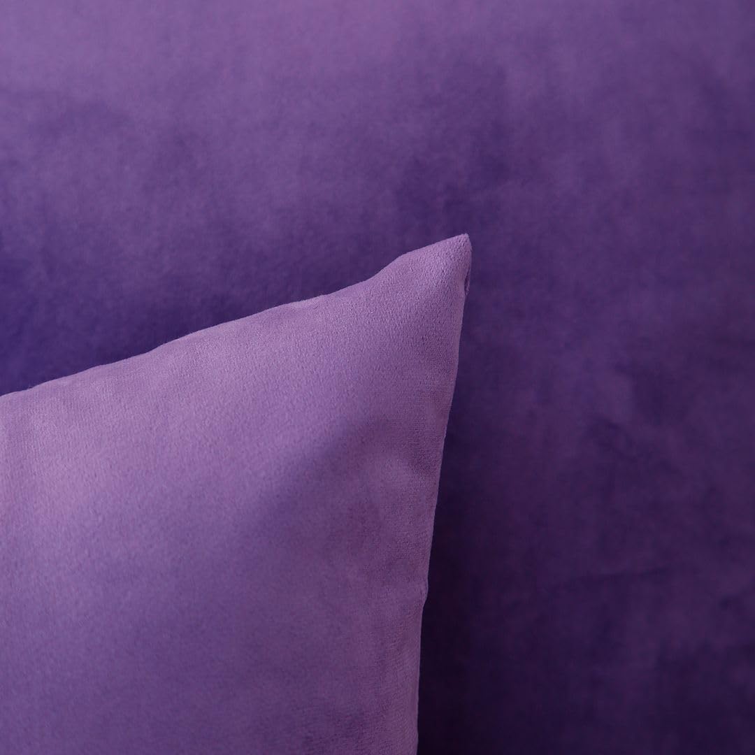 MoonRest - Pack of 2, Velvet Decorative Pillow Cover Set, Cozy Soft with Hidden Zipper Solid Color for Sofa Bedroom Car Couch Throw Pillow