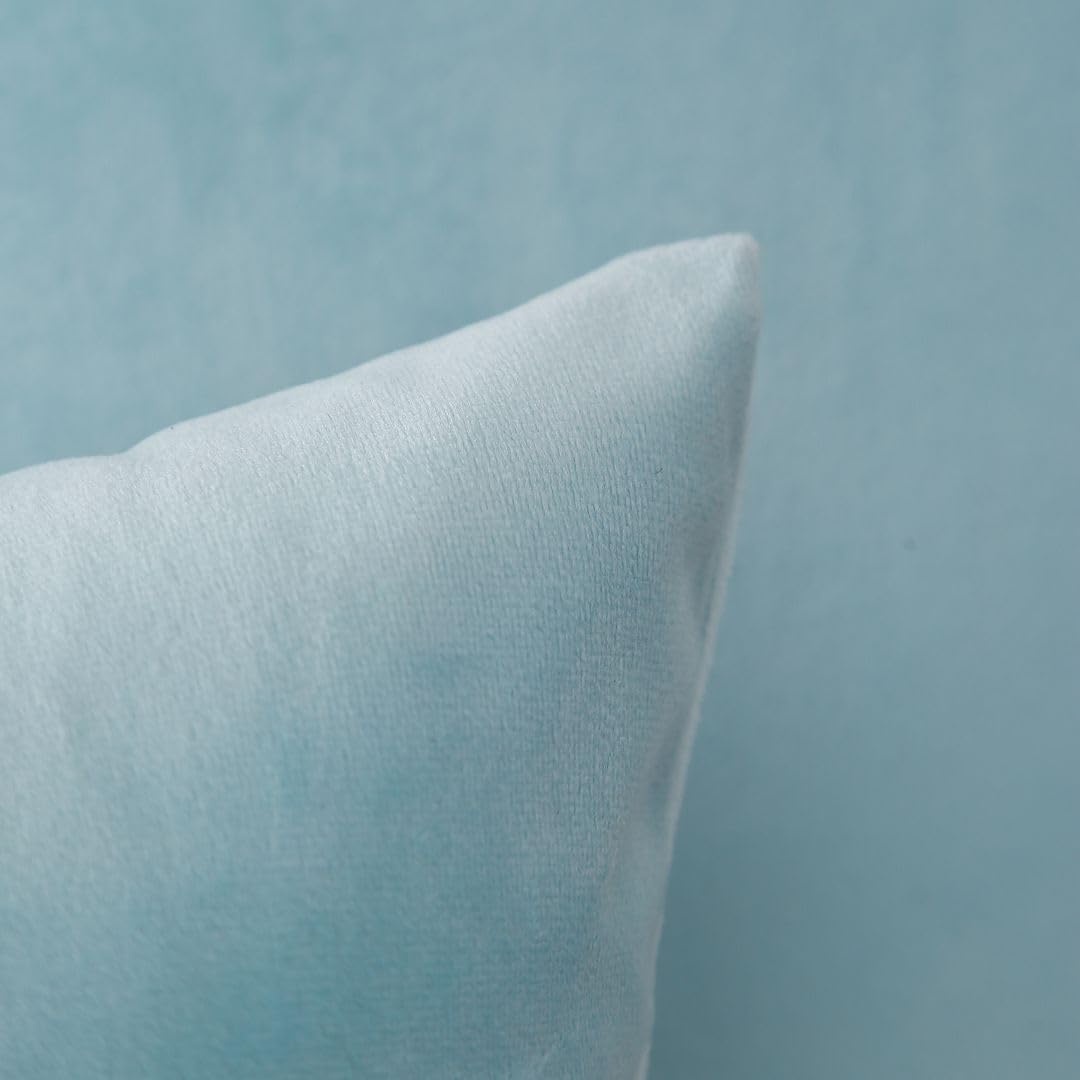 MoonRest - Pack of 2, Velvet Decorative Pillow Cover Set, Cozy Soft with Hidden Zipper Solid Color for Sofa Bedroom Car Couch Throw Pillow