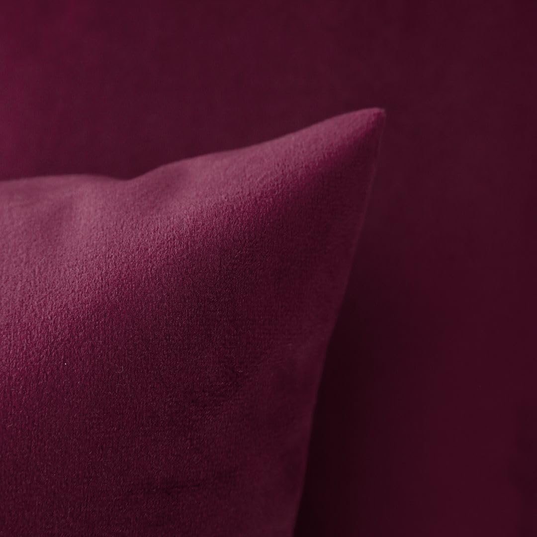 MoonRest - Pack of 2, Velvet Decorative Pillow Cover Set, Cozy Soft with Hidden Zipper Solid Color for Sofa Bedroom Car Couch Throw Pillow