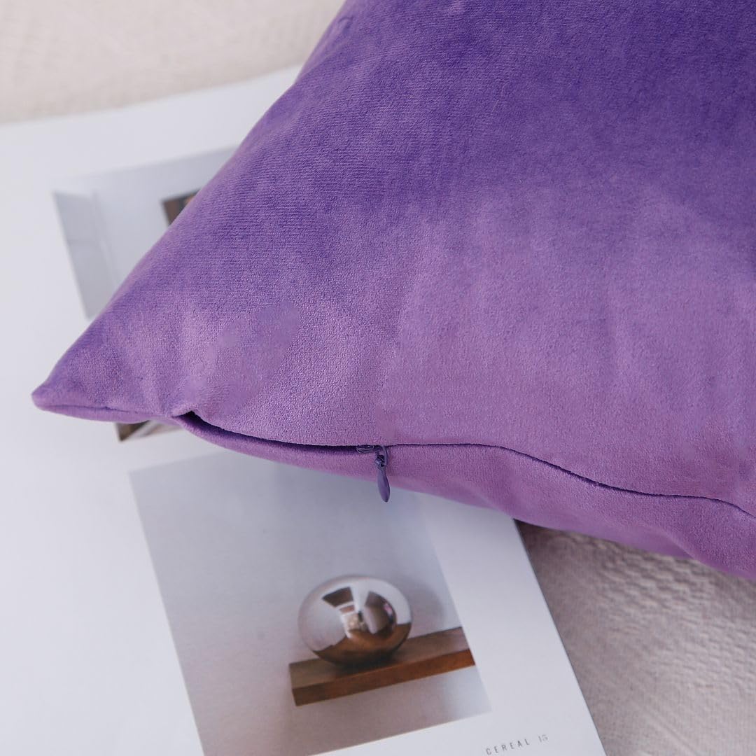 MoonRest - Pack of 2, Velvet Decorative Pillow Cover Set, Cozy Soft with Hidden Zipper Solid Color for Sofa Bedroom Car Couch Throw Pillow