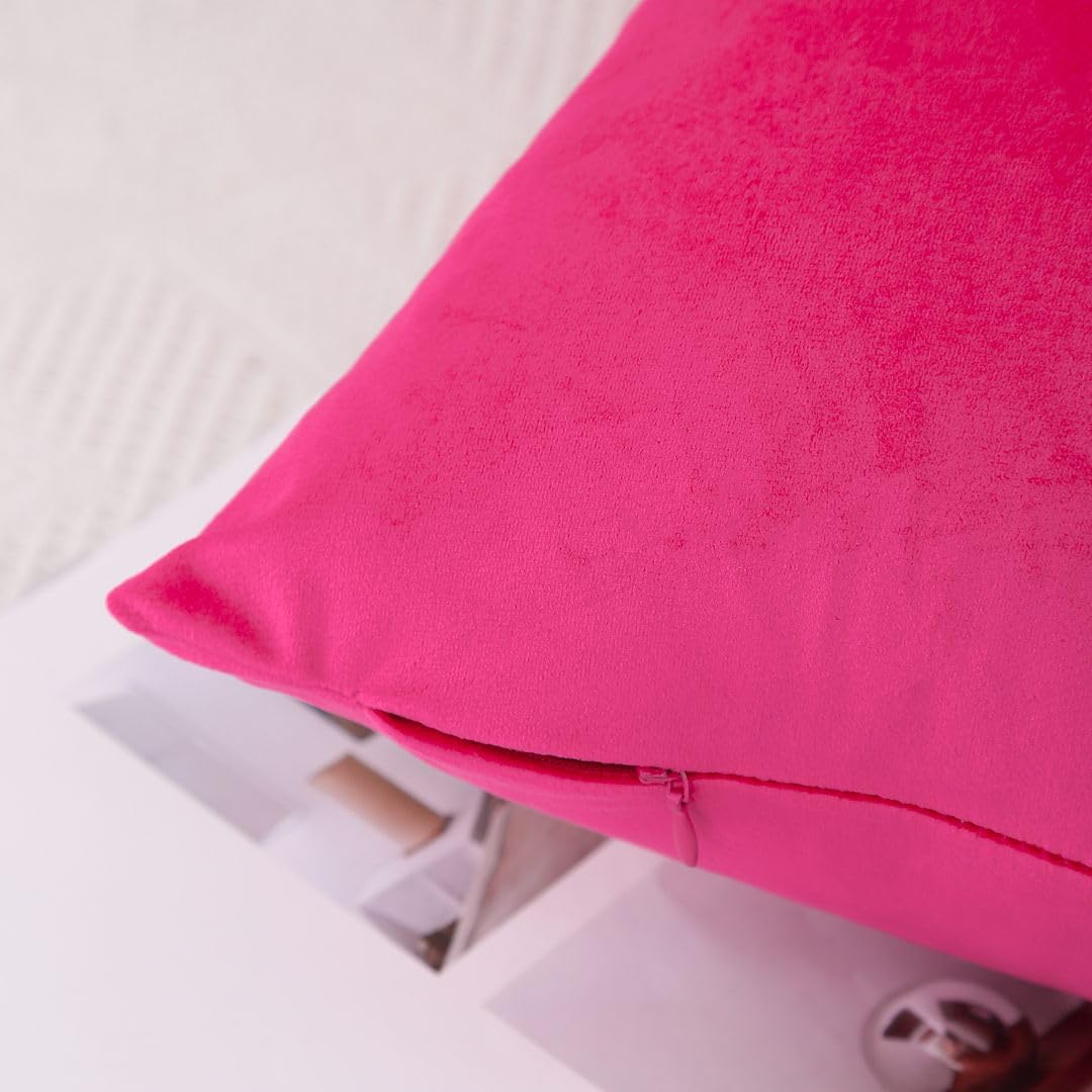 MoonRest - Pack of 2, Velvet Decorative Pillow Cover Set, Cozy Soft with Hidden Zipper Solid Color for Sofa Bedroom Car Couch Throw Pillow