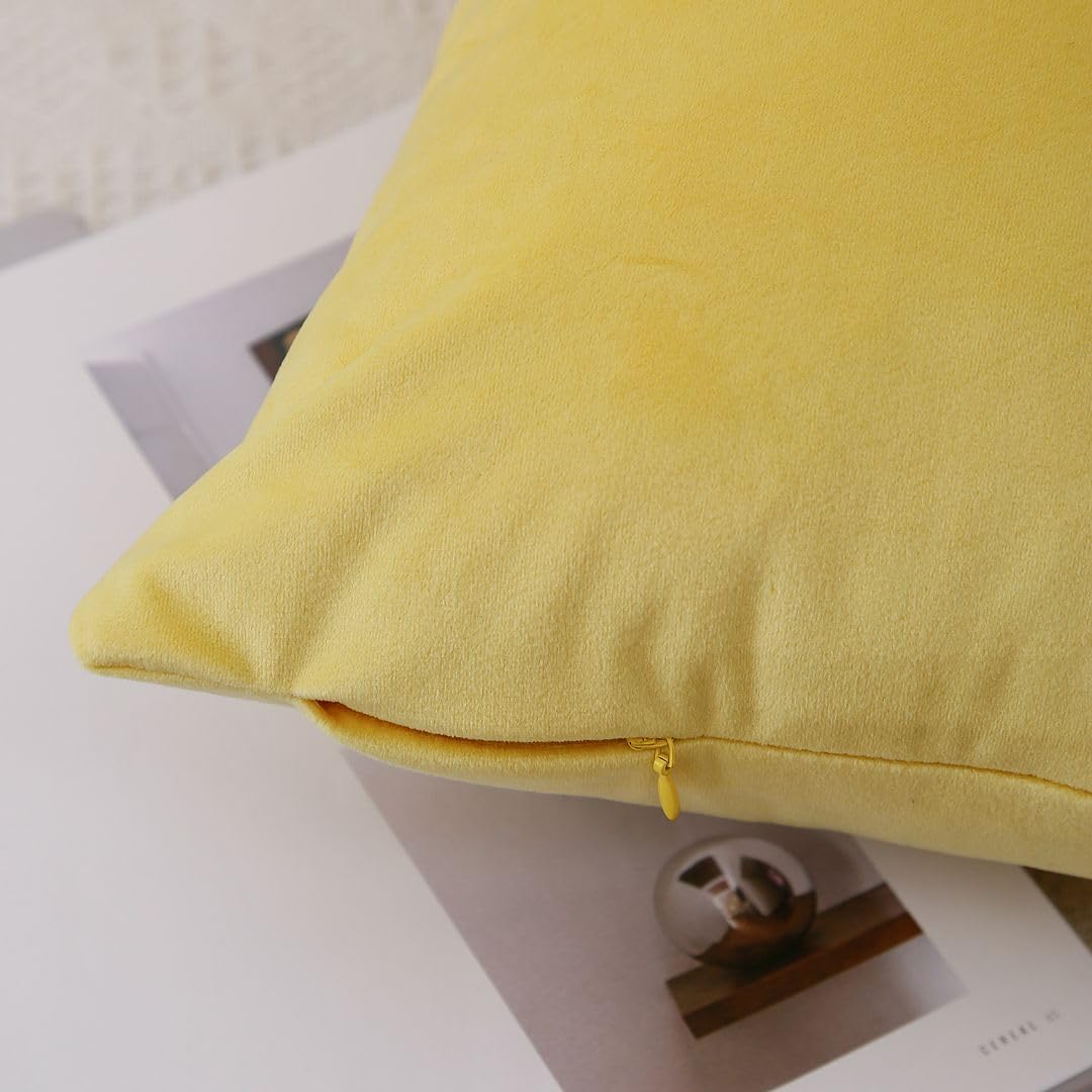 MoonRest - Pack of 2, Velvet Decorative Pillow Cover Set, Cozy Soft with Hidden Zipper Solid Color for Sofa Bedroom Car Couch Throw Pillow
