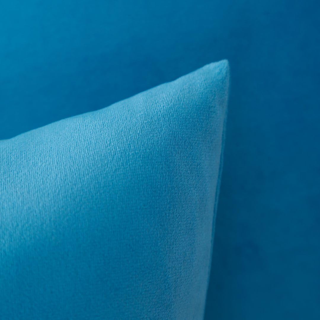MoonRest - Pack of 2, Velvet Decorative Pillow Cover Set, Cozy Soft with Hidden Zipper Solid Color for Sofa Bedroom Car Couch Throw Pillow