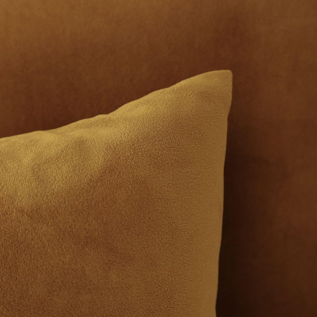 MoonRest - Pack of 2, Velvet Decorative Pillow Cover Set, Cozy Soft with Hidden Zipper Solid Color for Sofa Bedroom Car Couch Throw Pillow