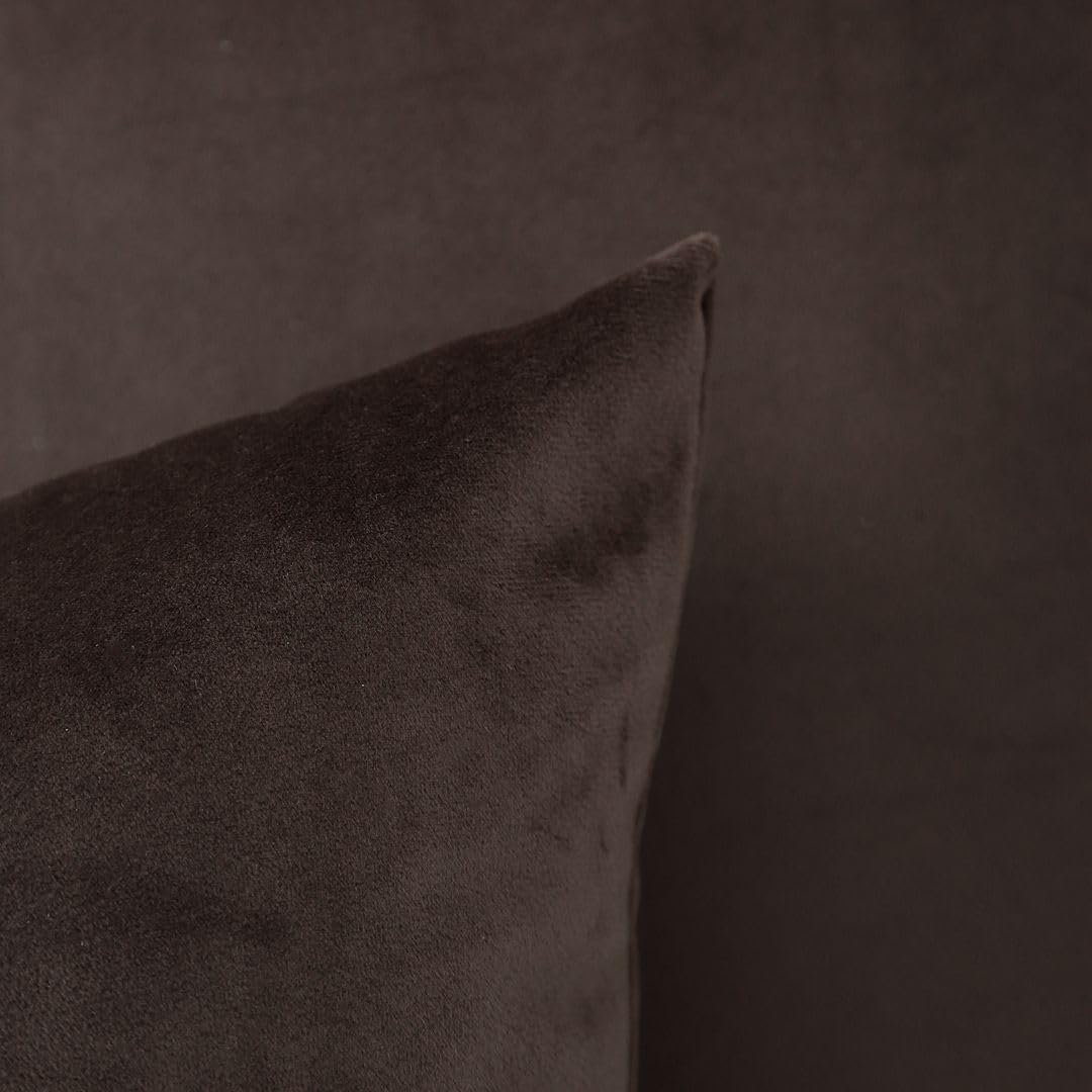 MoonRest - Pack of 2, Velvet Decorative Pillow Cover Set, Cozy Soft with Hidden Zipper Solid Color for Sofa Bedroom Car Couch Throw Pillow