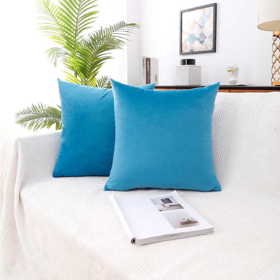 MoonRest - Pack of 2, Velvet Decorative Pillow Cover Set, Cozy Soft with Hidden Zipper Solid Color for Sofa Bedroom Car Couch Throw Pillow