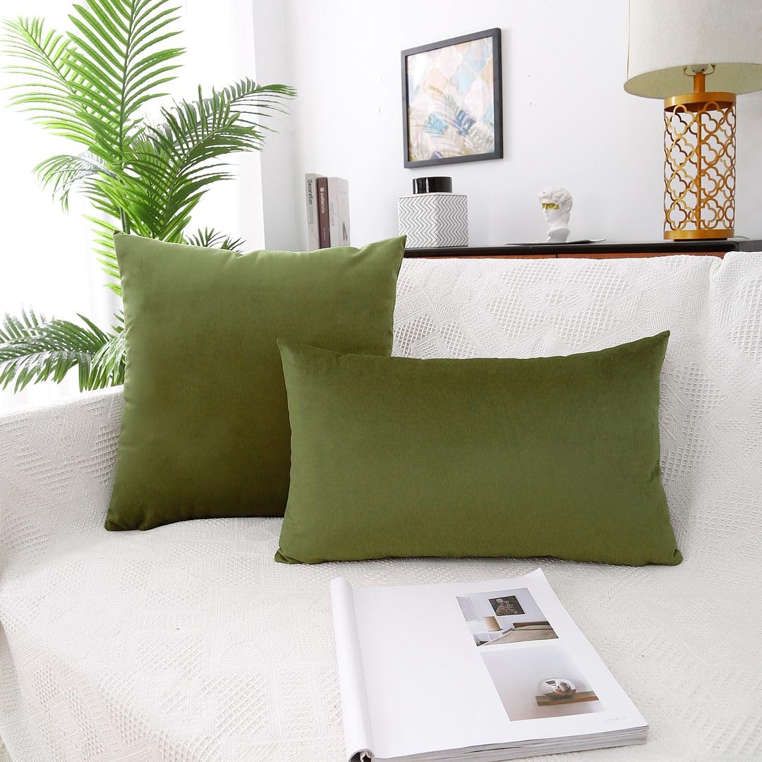 MoonRest - Pack of 2, Velvet Decorative Pillow Cover Set, Cozy Soft with Hidden Zipper Solid Color for Sofa Bedroom Car Couch Throw Pillow