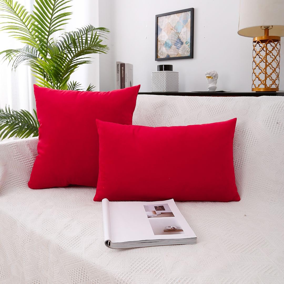 MoonRest - Pack of 2, Velvet Decorative Pillow Cover Set, Cozy Soft with Hidden Zipper Solid Color for Sofa Bedroom Car Couch Throw Pillow