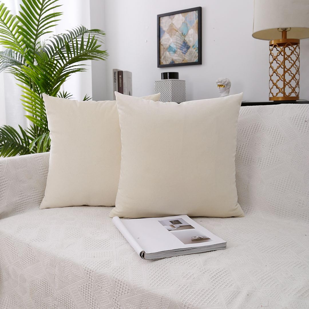 MoonRest - Pack of 2, Velvet Decorative Pillow Cover Set, Cozy Soft with Hidden Zipper Solid Color for Sofa Bedroom Car Couch Throw Pillow