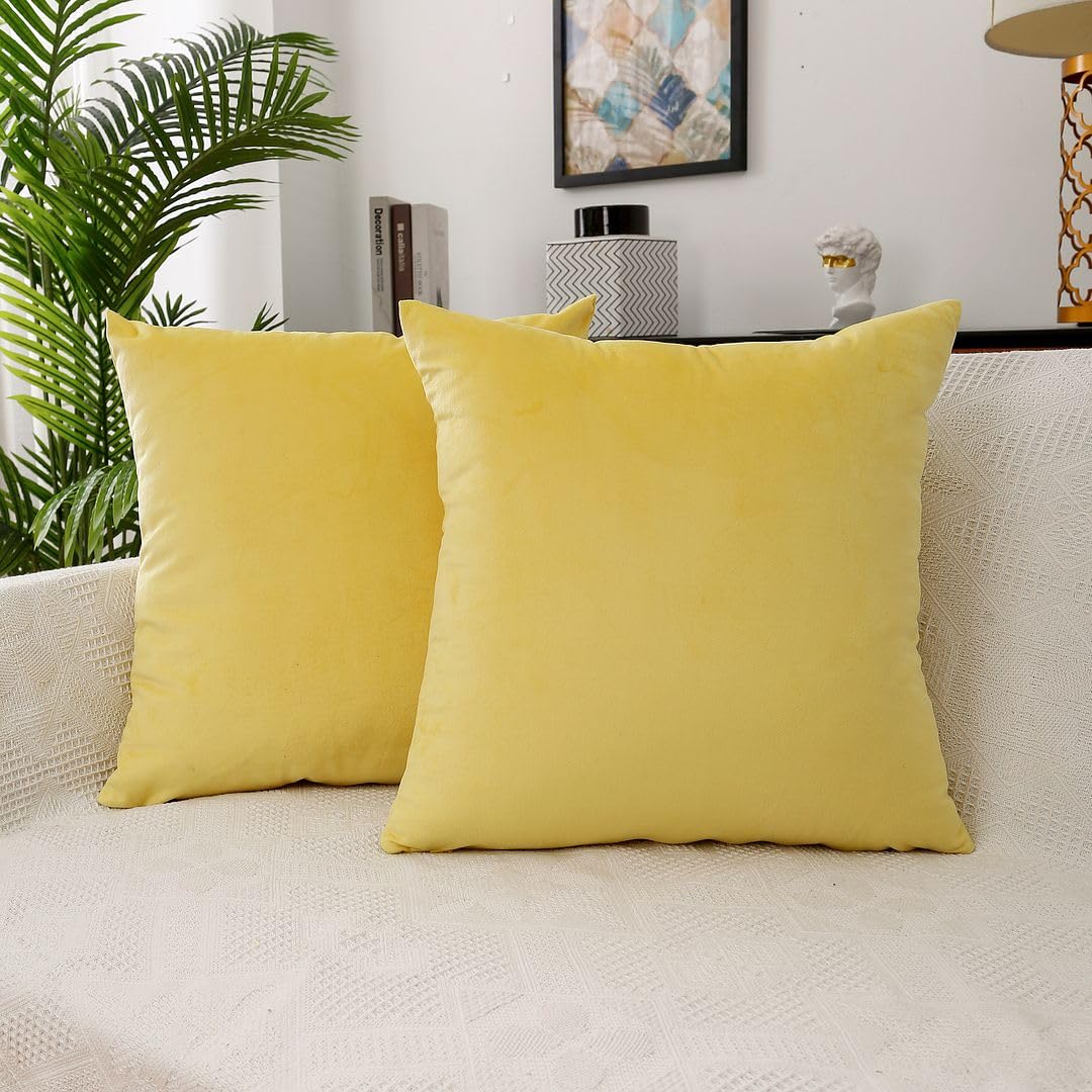 MoonRest - Pack of 2, Velvet Decorative Pillow Cover Set, Cozy Soft with Hidden Zipper Solid Color for Sofa Bedroom Car Couch Throw Pillow