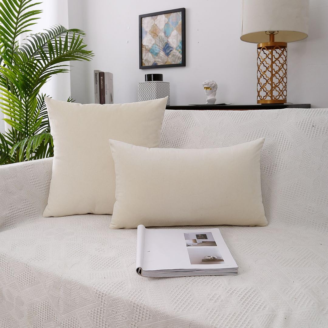 MoonRest - Pack of 2, Velvet Decorative Pillow Cover Set, Cozy Soft with Hidden Zipper Solid Color for Sofa Bedroom Car Couch Throw Pillow