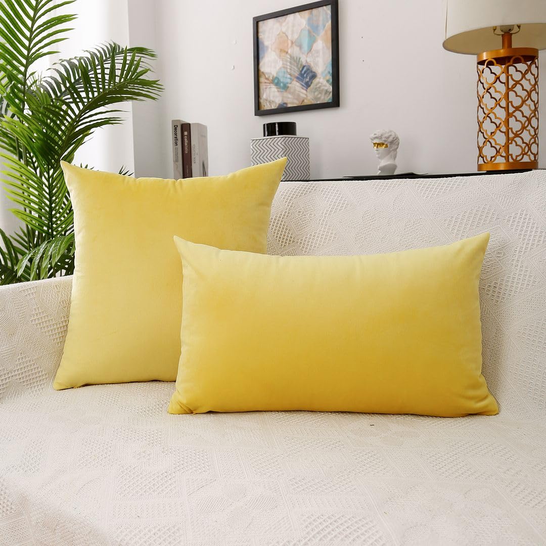 MoonRest - Pack of 2, Velvet Decorative Pillow Cover Set, Cozy Soft with Hidden Zipper Solid Color for Sofa Bedroom Car Couch Throw Pillow