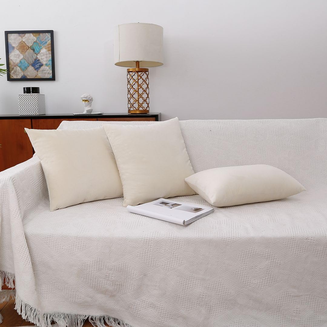 MoonRest - Pack of 2, Velvet Decorative Pillow Cover Set, Cozy Soft with Hidden Zipper Solid Color for Sofa Bedroom Car Couch Throw Pillow