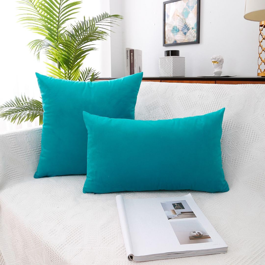 MoonRest - Pack of 2, Velvet Decorative Pillow Cover Set, Cozy Soft with Hidden Zipper Solid Color for Sofa Bedroom Car Couch Throw Pillow