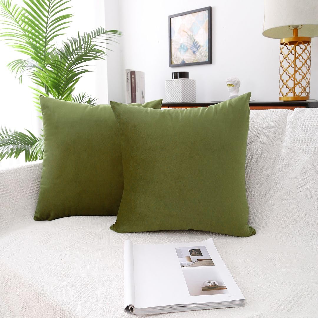 MoonRest - Pack of 2, Velvet Decorative Pillow Cover Set, Cozy Soft with Hidden Zipper Solid Color for Sofa Bedroom Car Couch Throw Pillow