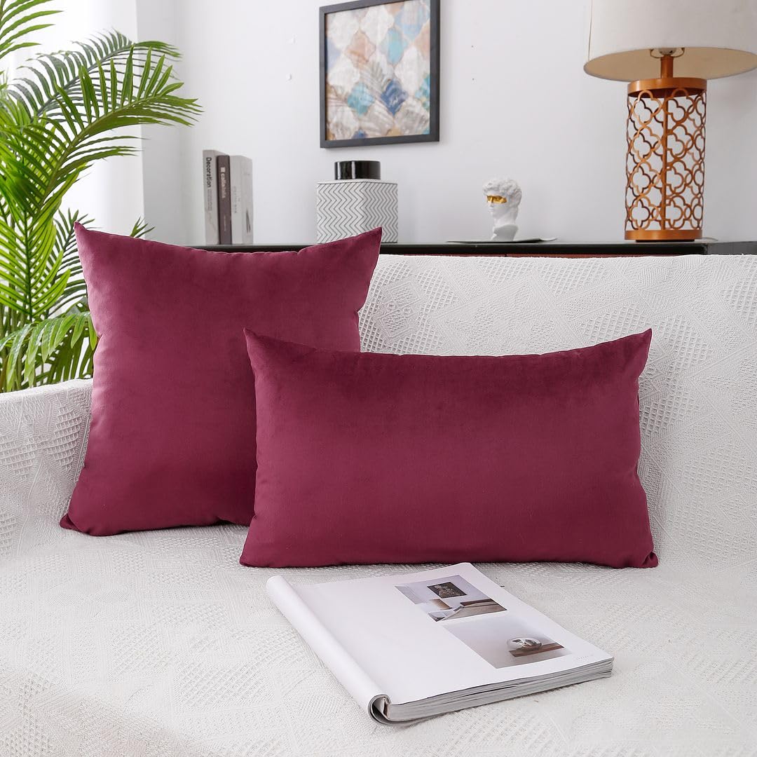 MoonRest - Pack of 2, Velvet Decorative Pillow Cover Set, Cozy Soft with Hidden Zipper Solid Color for Sofa Bedroom Car Couch Throw Pillow
