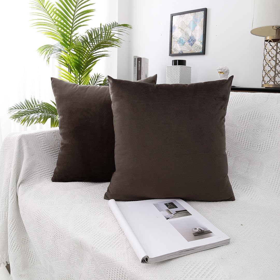 MoonRest - Pack of 2, Velvet Decorative Pillow Cover Set, Cozy Soft with Hidden Zipper Solid Color for Sofa Bedroom Car Couch Throw Pillow